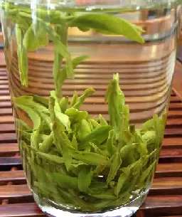 West Lake Longjing Tea