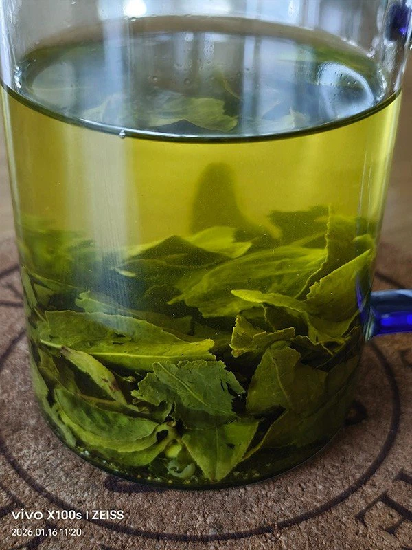 Green Tea Luzhu factory