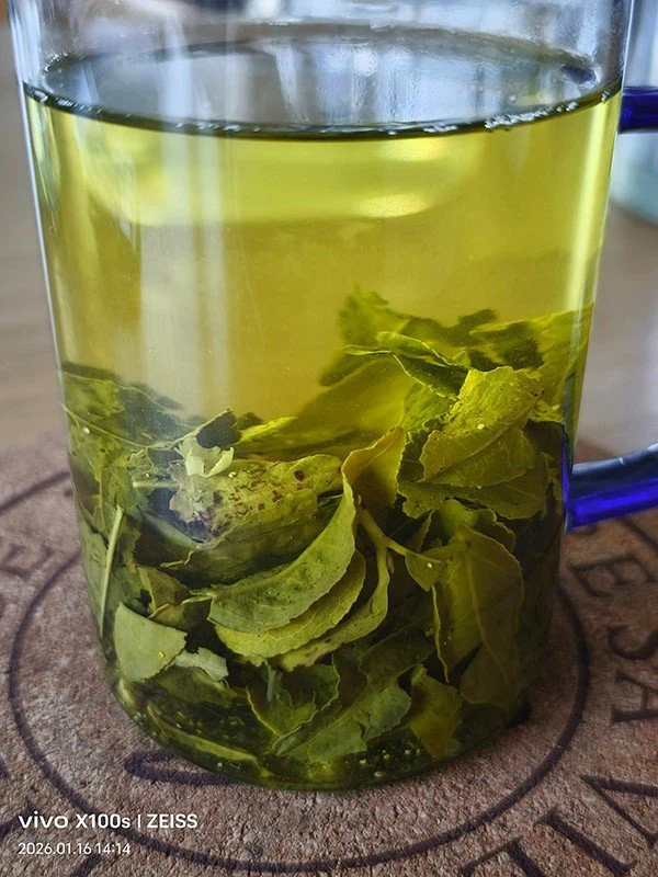 Green Tea Luzhu suppliers