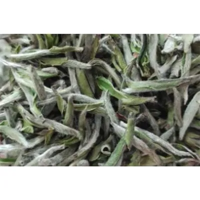 Biała herbata Bai Hao Yinzhen
